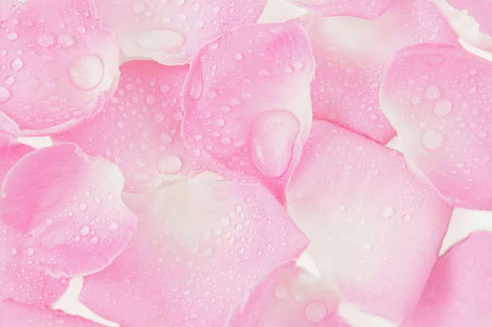 Sữa rửa mặt NIVEA Hokkaido Rose 2