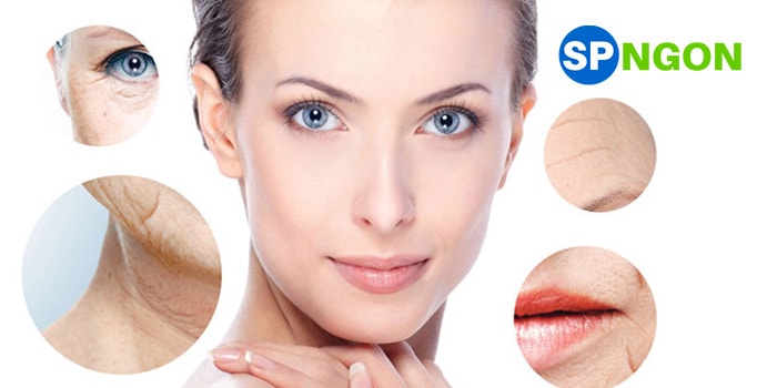 Top 10 Serum Ngăn Ngừa Lão Hóa