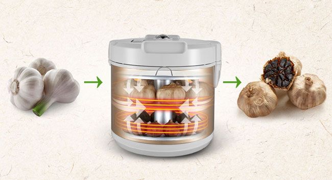 Top 10 Máy làm tỏi đen được tin dùng