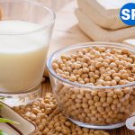 Top 10 Máy Làm Sữa Đậu Nành bán chạy nhất