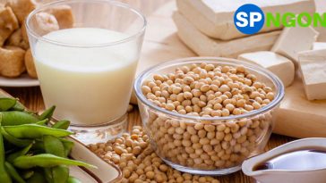 Top 10 Máy Làm Sữa Đậu Nành bán chạy nhất