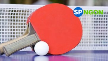 Top 10 Vợt Bóng Bàn tốt và bán chạy