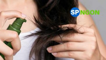 Top 10 Serum dưỡng tóc đang bán chạy nhất hiện nay