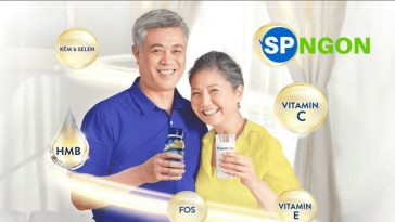 Top 10 loại Sữa Cho Người Lớn Tuổi tốt cho sức khỏe